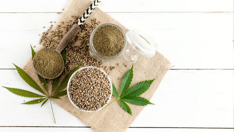 Explore Our Hemp Product Selection