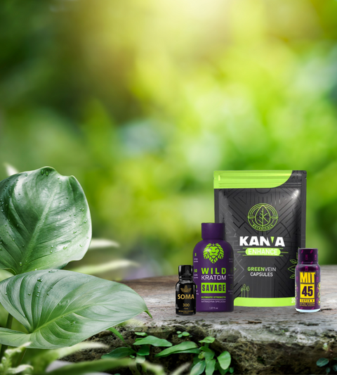 Feel the Difference with Premium Kratom Products